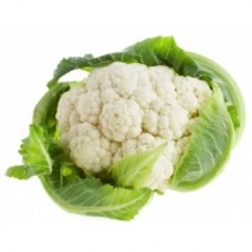 Cauliflower (Medium)